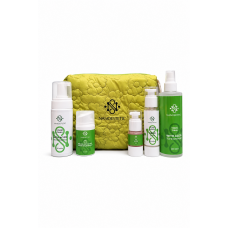 SEBO CONTROL KIT 12+ Комплекс для догляду за комбінованою та жирною шкірою NANOESTETIC (косметичка у подарунок)